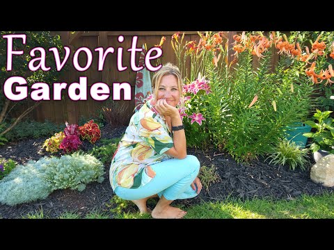 Monday Meandering in My Carolina Garden | Lilies, Coneflowers, Hibiscus, Tomatoes and MORE!!!