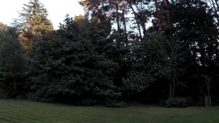 E01 Micro RC Airplane SAKURA