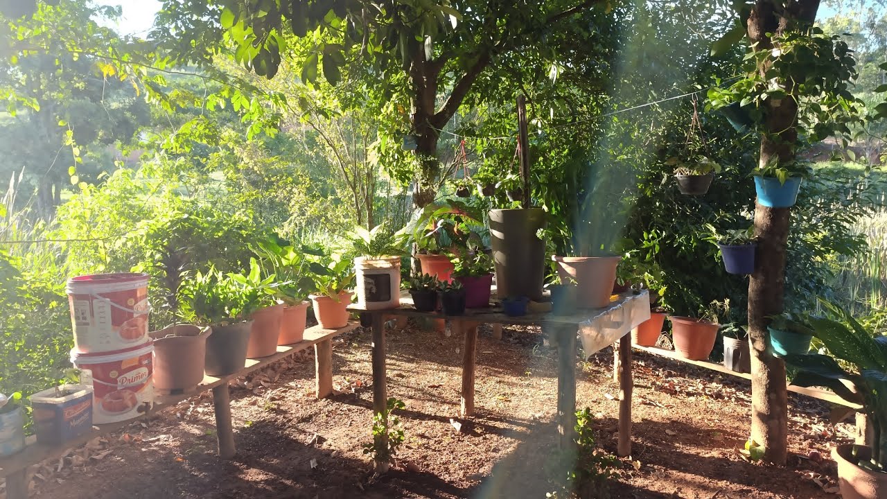 Minha mini floricultura 💞😍🙏