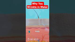 Why You Wrinkle in Water: Pruney Fingers Explained 💦 #science #biology #why #whathappens