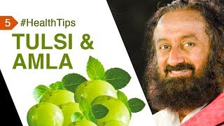 Here Is Why You Should Eat Tulsi U0026 Amla gooseberry  healthtipsbygurudev  Health Tip 5