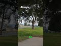 Disc Golf Distance DISPUTE Is the Sign Lying at hole 3 at WNP#discgolf #frisbeegolf #shorts #subs
