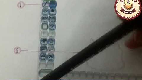 Pathania World Campus, Computer class-1