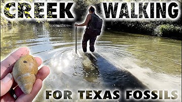 CREEK WALKING FOR FOSSILS - December 2024 - North Texas Fossil Hunting