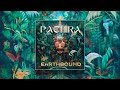 Pachira  earthbound continuous mix organic downtempo  folktronica