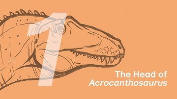 Fergus the Acrocanthosaurus 1: The Head | Learn to Draw Dinosaurs with ZHAO Chuang
