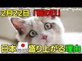 【2/22猫の日】 犬好きも嫉妬する猫の日！あなたはどう過ごす？
