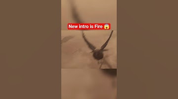 New S11 Intro 🔥 #arenabreakout