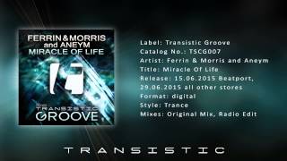 Ferrin & Morris And Aneym - Miracle Of Life Original Mix