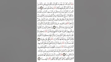 سورة الفتح آية ٢٤-٢٨ #اكسبلور#القران #القاري attaullahfarooqi5219 عطاء الله فاروقي من الدوحة قطر