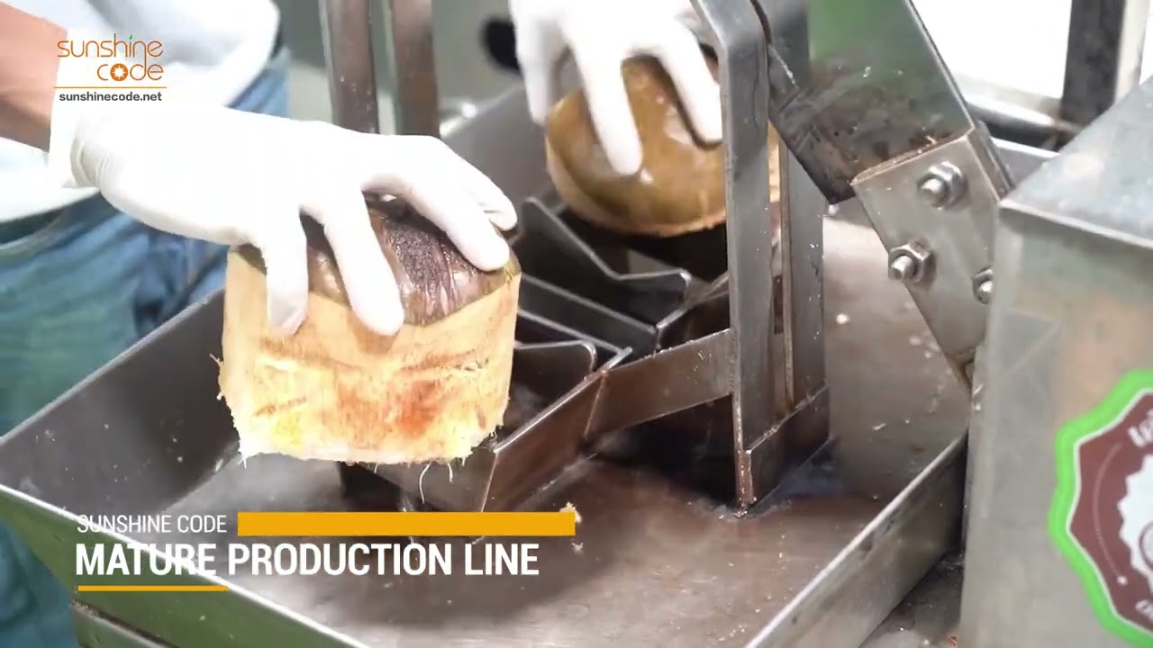 From Fresh Coconut to Delicious Coconut Jelly A Smooth and Nutritious Process