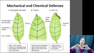 Plant Defenses