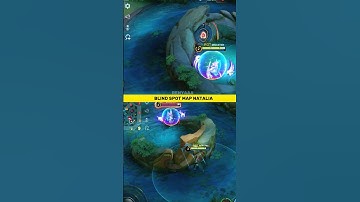 ✅ Natalia Blind Spot Map Tutorial by Renyaaa