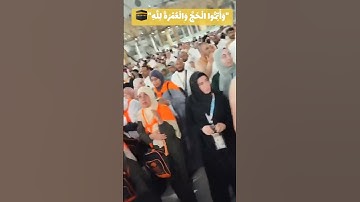 القارئ عاصم سليم يرتل بإبداع الآية وأتموا الحج والعمرة لله
