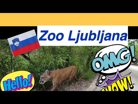 Video: Zoo sa Ljubljana