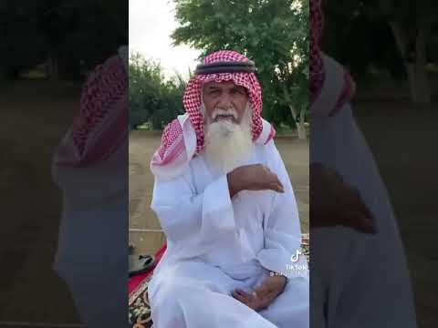 ماتخلي ياباشا يتوب يقولها