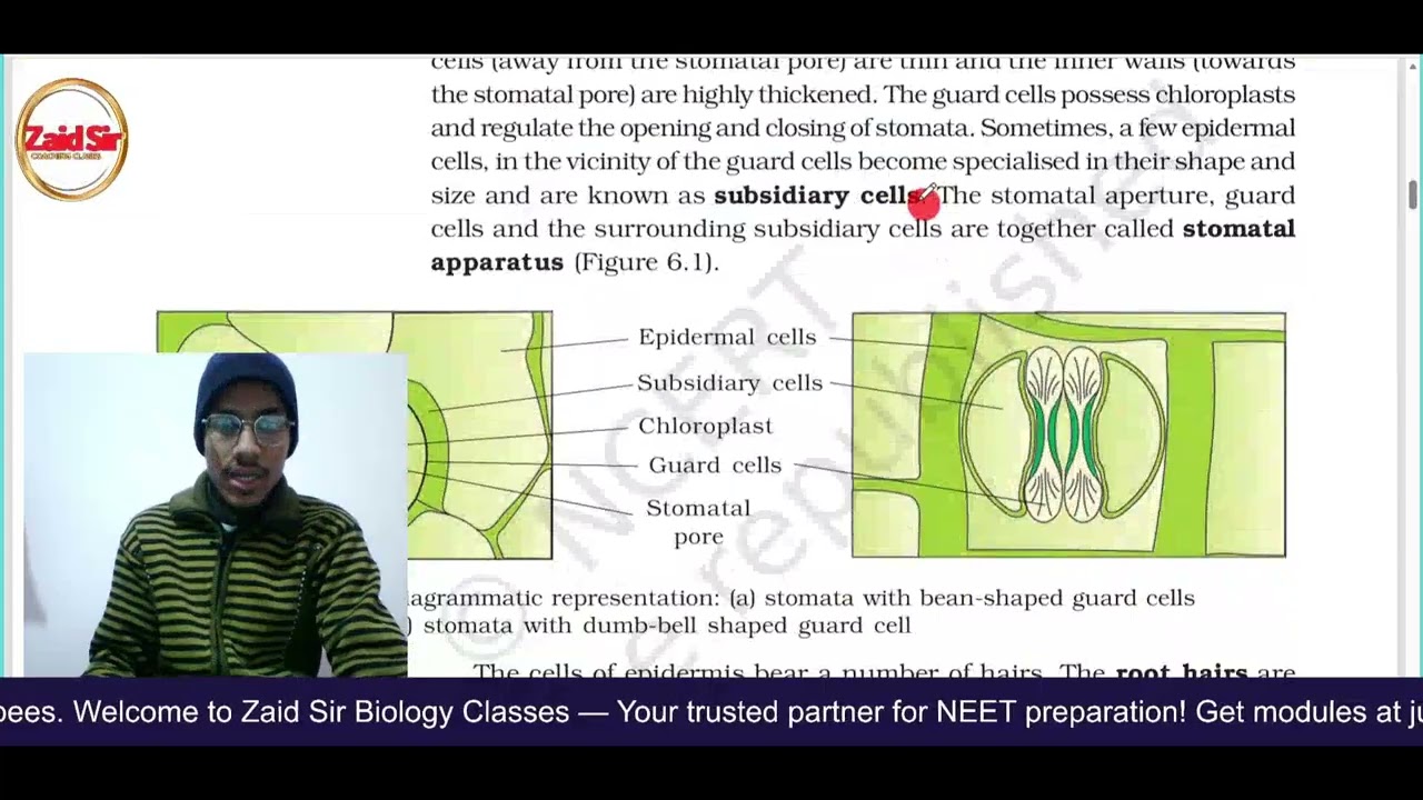 🌸 Anatomy of Flowering Plants L - 1 | Plant Tissue, Epidermis & Structure of Stomata