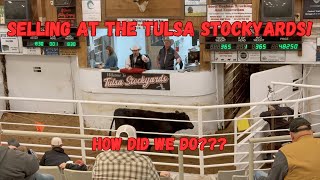 Tulsa Stockyards February Cattle Auction! How did we do???