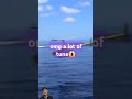 how to catch tuna #fish #fishing #shortvideo #viralvideo