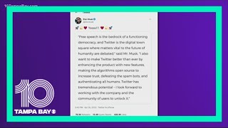 Full 'Free-speech absolutist' Elon Musk buys Twitter Guide