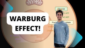 Breakthrough Junior Challenge 2023: Warburg Effect