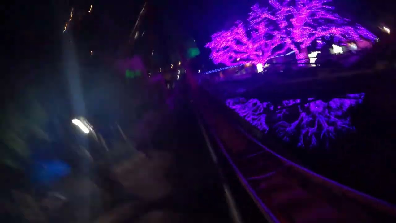 SheiKra Night Ride POV Front Row Busch Gardens Tampa Bay No Copyright 11/30/2025