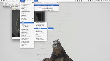 ImageJ Use Text Image Import Sequence