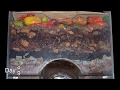 "Around the Worm Bin in 80 Days" FAST time-lapse - Vermicomposting with Red Wigglers & Layered Food