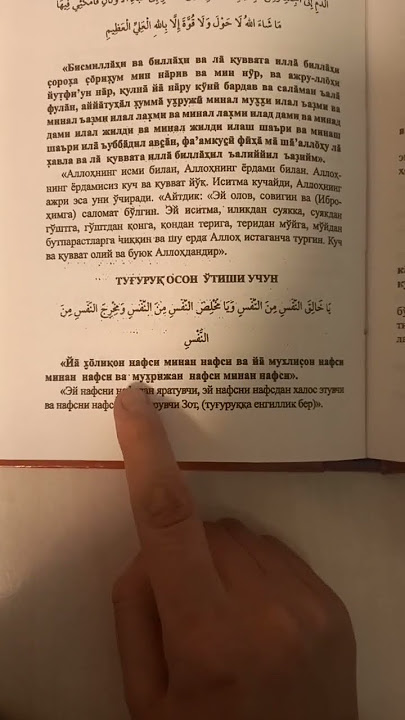 Kauchuk qogirchoqlar bilan trannies