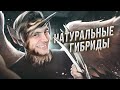 НЕИЗВЕСТНЫЕ гибриды - известных животных...