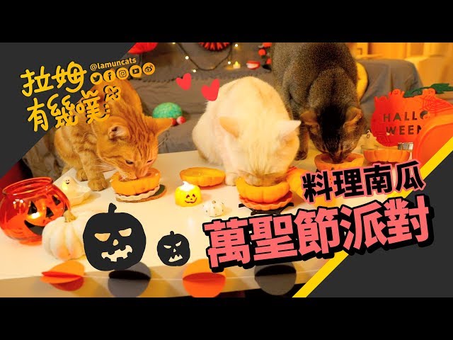 ►拉姆有幾噗◄ 萬聖節殺南瓜！南瓜肉泥煲 貓弟三碗全打包┃Halloween special with cats ♕