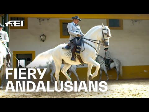 Video: Andalusia: Big Ride