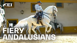 Something for the bucket list: The  Andalusian School of Equestrian Art |RIDE presented by Longines