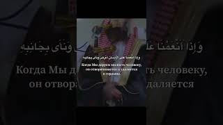 Мухаммад аль Люхайдан чтение Корана изгнание джина рукъя #ислам #quran #лечение #relax #страх #лето