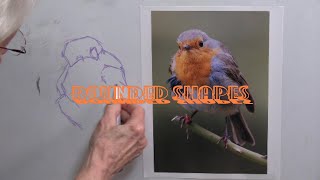 Quick Tip 445 - Rounded Shapes