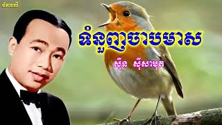 ទំនួញចាបមាស, សុិន សុីសាមុត Tom Nurnh Chab Mean, Sin Sisamut, Khmer Old Song HD
