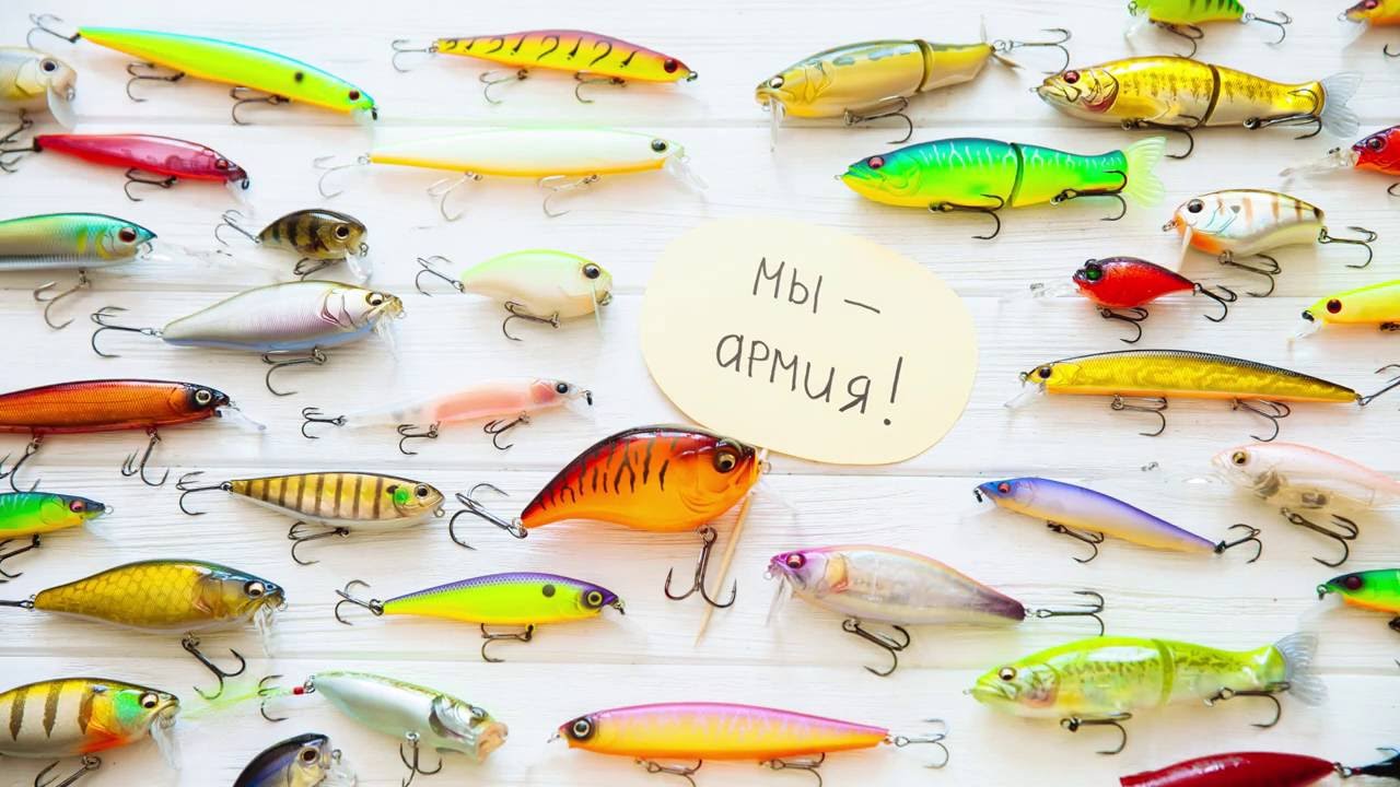Fish Com Интернет Магазин