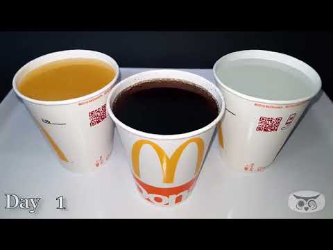 How long can a McDonalds paper cup hold liquid   4K Time Lapse