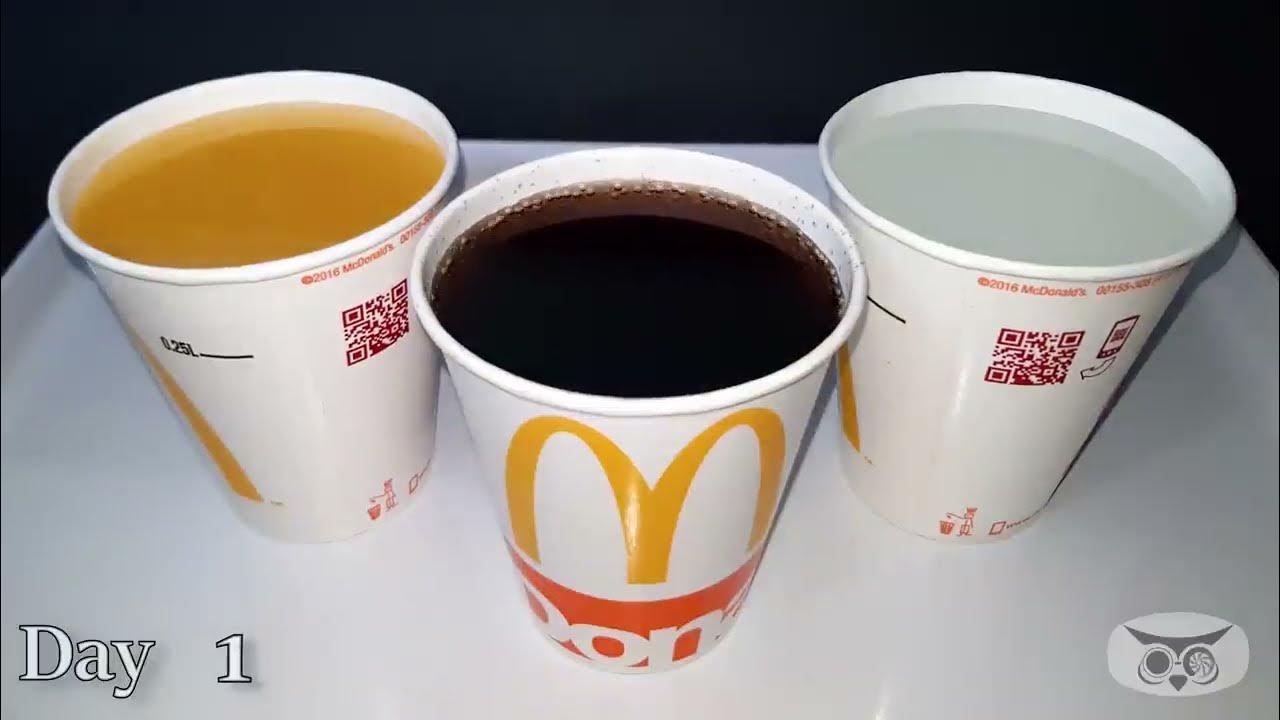 How long can a McDonalds paper cup hold liquid 4K Time Lapse YouTube
