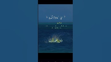 surah fussilat ( سورة فصلت ) Quran @PATHANDD55