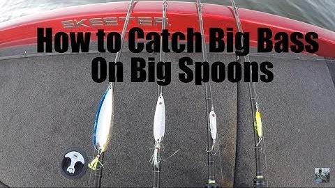 Lake Fork Bass Fishing: Tips For Big Bass On Big Flutter Spoons!!!
