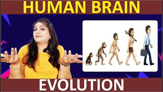 Evolution of Our Brain in Human Race