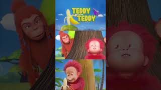 Teddy Teddy - Orangutan Babies #teddyteddy #OrangutanBabies #nurseryrhymes