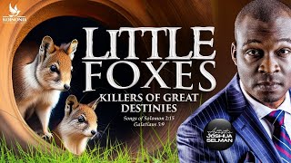 Little Foxes The Killers Of Great Destinies With Apostle Joshua Selman