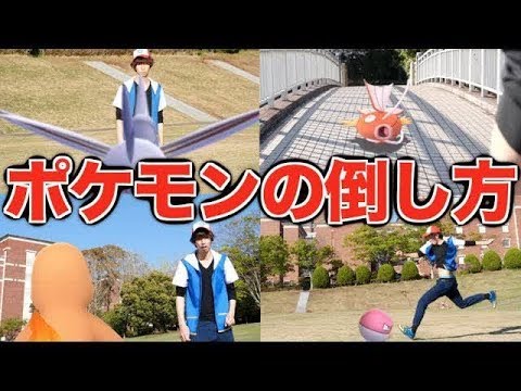 はじめしゃちょー（hajime） - 【必見】人間でもできるポケモンの倒し方講座