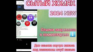 Слив курса Сытый Хомяк Лев Дмитриевич 2024 обучение по трейдингу НОВЫЙ