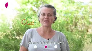 Biodiversité // Le jardin potager de Natixis par Wendy