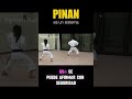 LOS PINAN NO SON BÁSICOS 🥋 El GRAN MALENTENDIDO del Karate