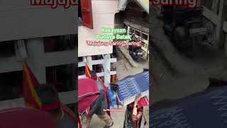 KEKAYAAN BUDAYA BATAK TOBA " MAGOKAL HOLI-HOLI" PENGHORMATAN KEPADA LELUHUR #batak #tradisibatak
