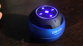 Dexp Roboto   -  11